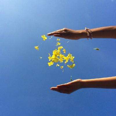 乐发大众彩票app下载安装