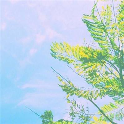 好彩网下载手机版