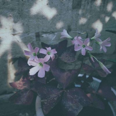 米博体育官方网站入口下载