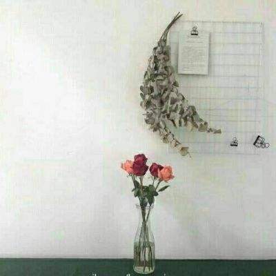 香港2023正版免费资料app下载